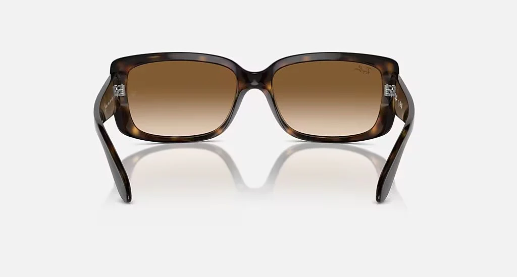 RB4389 WOMEN'S Havana / Clear Gradient Brown | Dial - Image 4