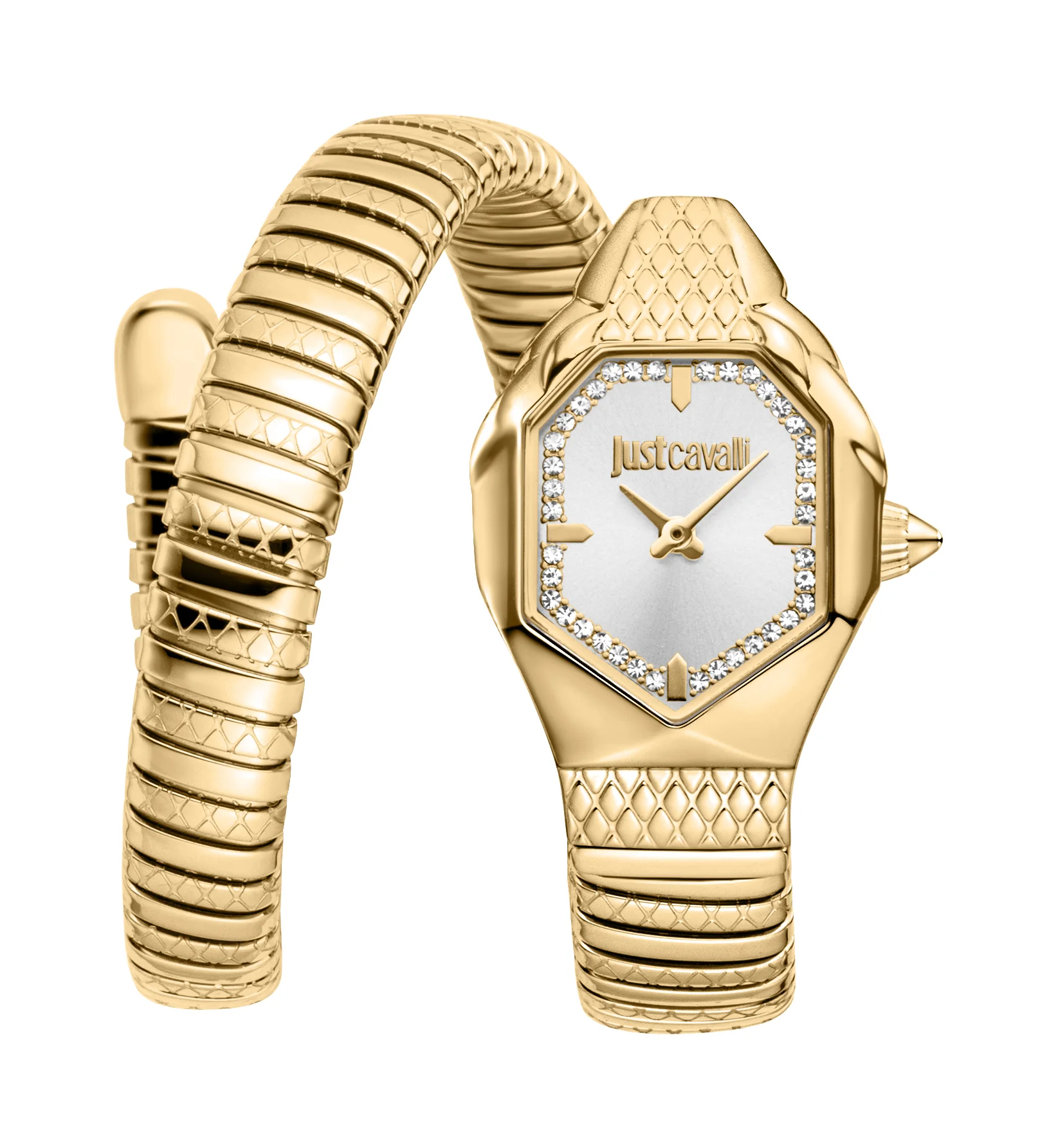 Snake 22mm / Silver / Gold Silver Dial