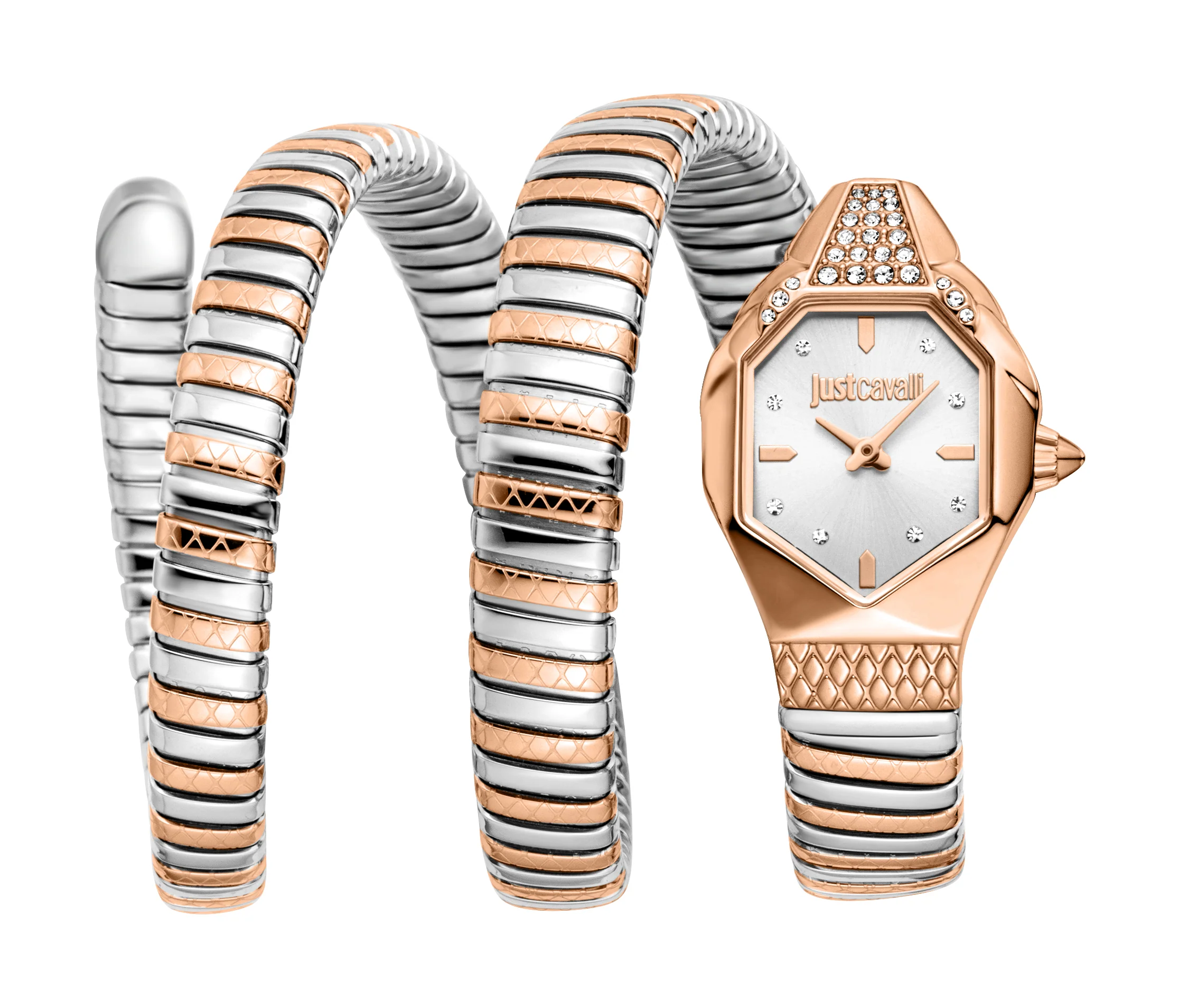Snake 22mm / Silver / Silver and Rose Gold Silver Dial
