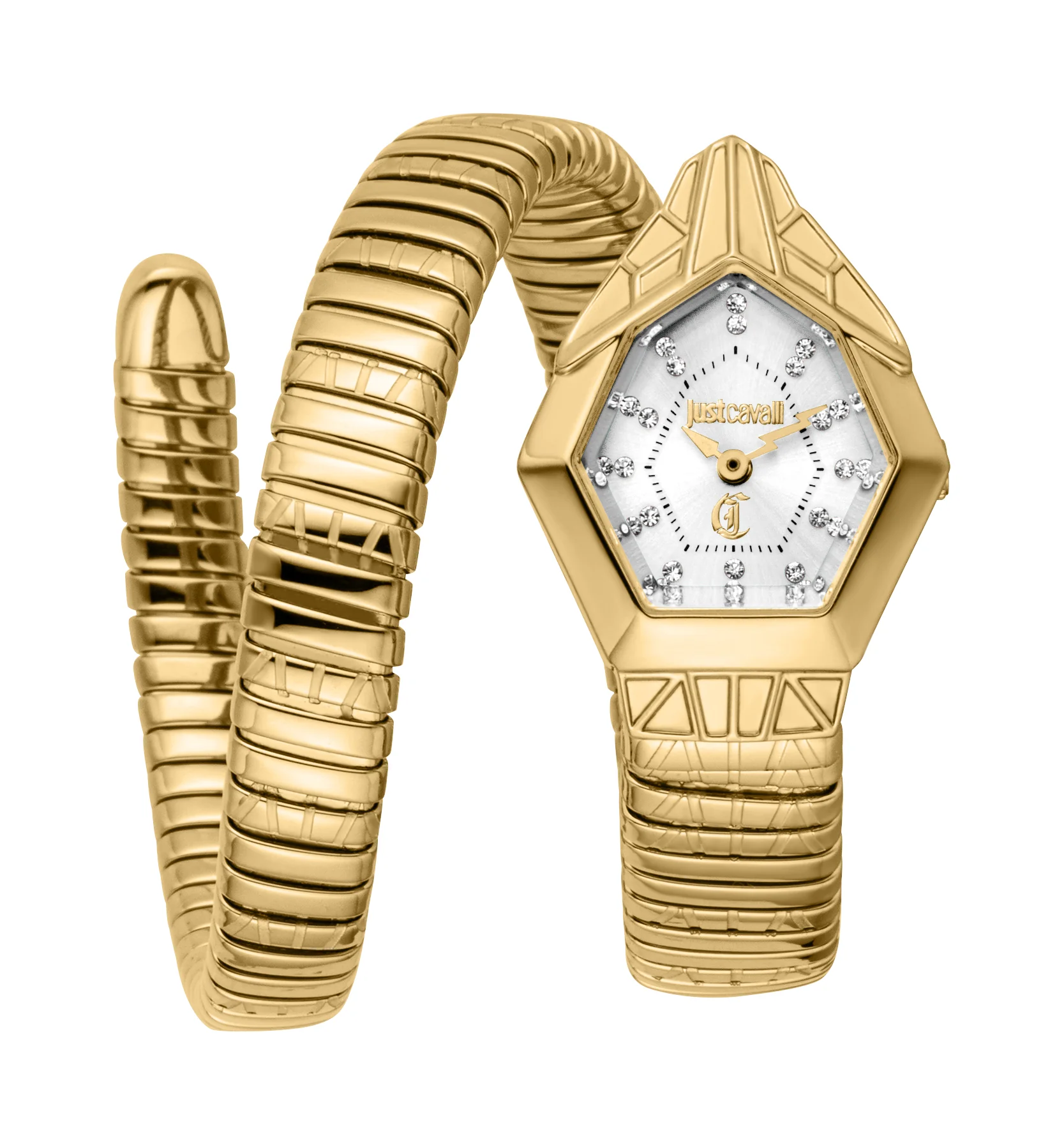 Snake 23mm / Silver / Gold | Silver Dial